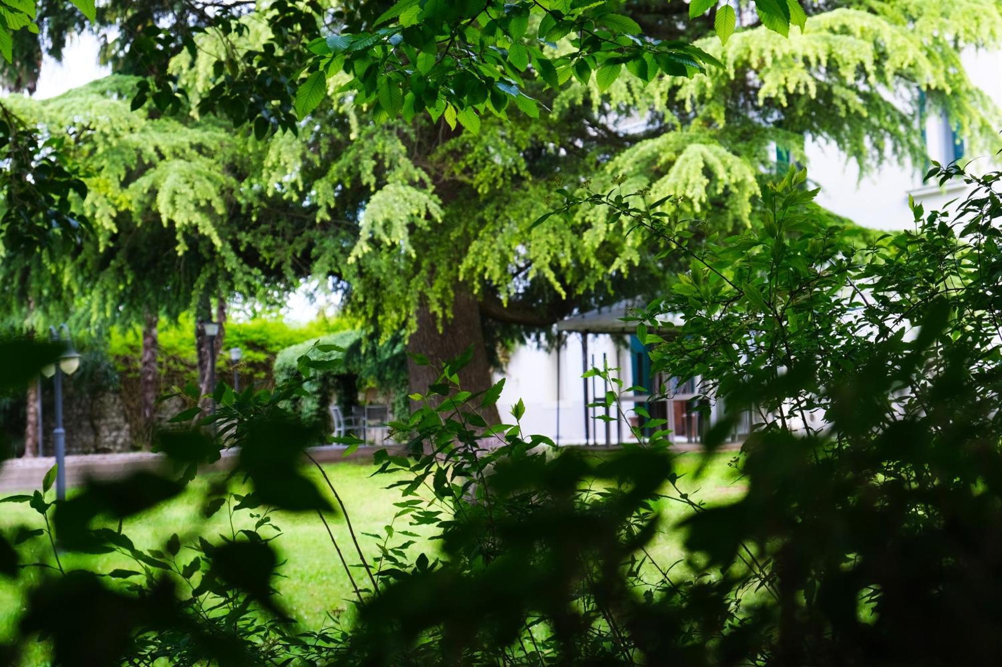 Hotel Villa Ca Damiani Caneva Exteriör bild